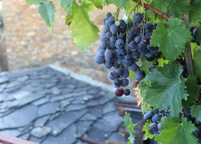 Casa Do Sapateiro Apartament Sobral de Sao Miguel